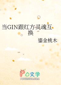 [柯南同人] 当GIN跟红方灵魂互换封面